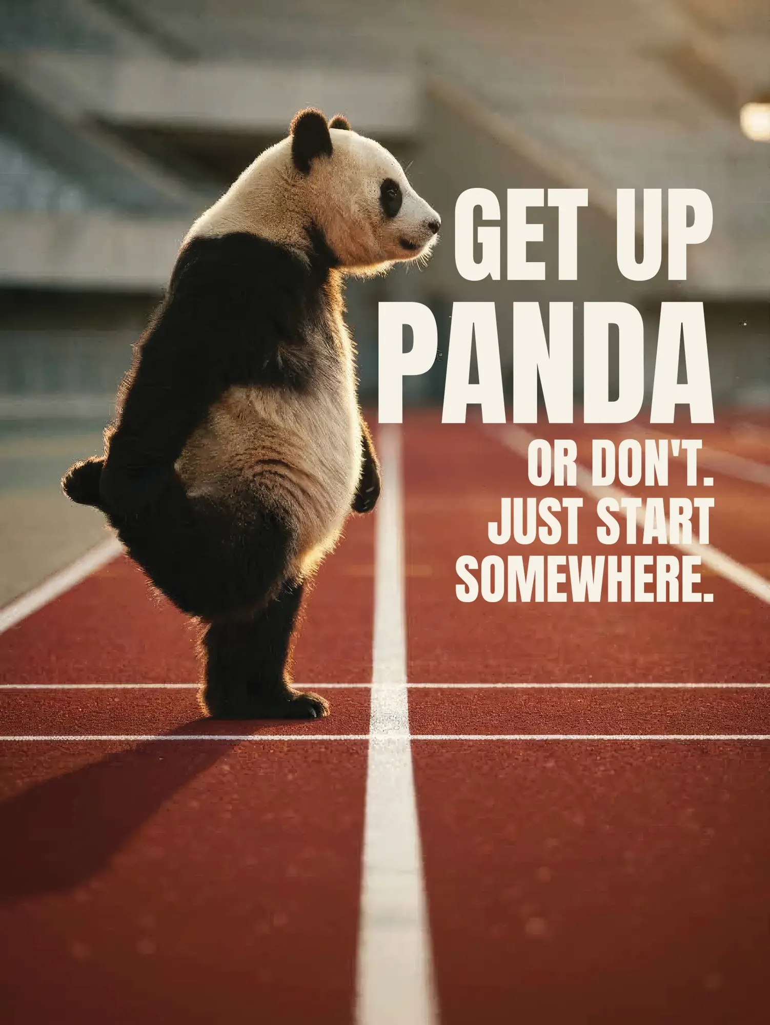 Panda App marka kampanyası